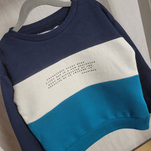 Load image into Gallery viewer, Minoti| Colourblock Panelled Sweatshirt