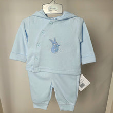 Load image into Gallery viewer, Baby Boys 2 Pieces Set with Hood - Bunny