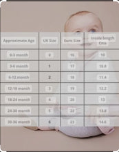 Load image into Gallery viewer, Baypods|Boys Soft Sole Shoes-Sky