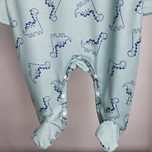 Load image into Gallery viewer, Mint Dino Print Babygrow