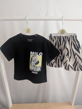 Load image into Gallery viewer, Boys Zebra Shorts and T-shirt Set