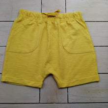 Load image into Gallery viewer, Boys Elasticated Shorts with Pockets