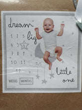 Load image into Gallery viewer, Baby Milestone Blanket