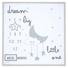 Load image into Gallery viewer, Baby Milestone Blanket