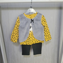 Load image into Gallery viewer, Baby Girls Gilet, Top &amp; Legging Set
