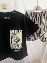 Load image into Gallery viewer, Boys Zebra Shorts and T-shirt Set
