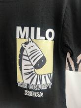 Load image into Gallery viewer, Boys Zebra Shorts and T-shirt Set

