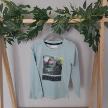 Load image into Gallery viewer, Pale Green Dinosaur Top
