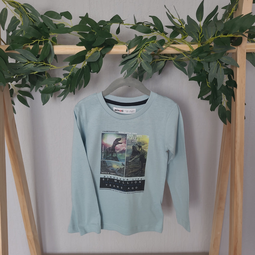 Pale Green Dinosaur Top