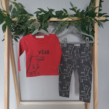 Load image into Gallery viewer, Grey and Red Crocodile Set
