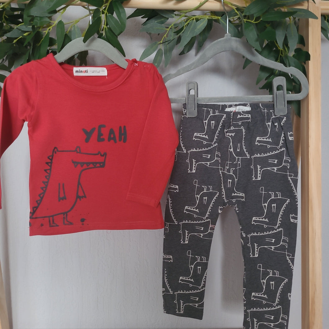 Grey and Red Crocodile Set