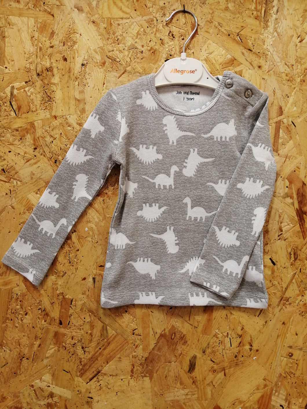 Dinosaur Print Long Sleeved Top